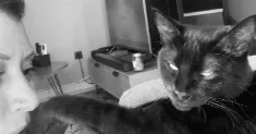 avatar petsitter