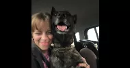 avatar petsitter