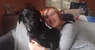 avatar petsitter