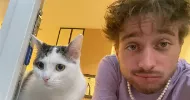 avatar petsitter