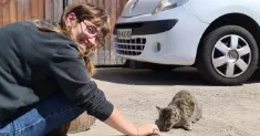 avatar petsitter