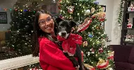 avatar petsitter