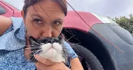 avatar petsitter
