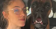 avatar petsitter