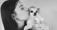 avatar petsitter