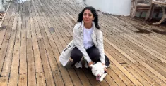 avatar petsitter
