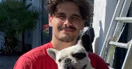 avatar petsitter