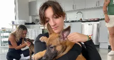avatar petsitter