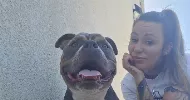 avatar petsitter