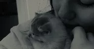avatar petsitter