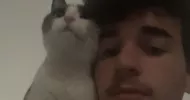 avatar petsitter