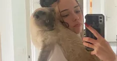 avatar petsitter