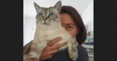 avatar petsitter