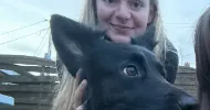 avatar petsitter