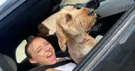 avatar petsitter
