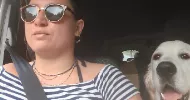 avatar petsitter