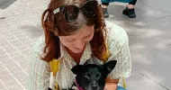 avatar petsitter
