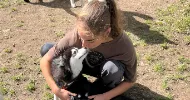 avatar petsitter