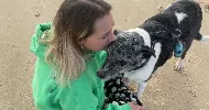 avatar petsitter