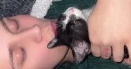 avatar petsitter