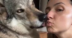 avatar petsitter