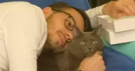 avatar petsitter