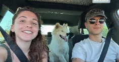 avatar petsitter