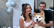 avatar petsitter