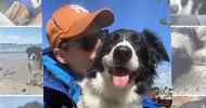 avatar petsitter