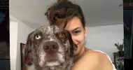 avatar petsitter