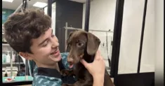 avatar petsitter