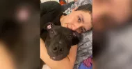 avatar petsitter