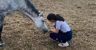 avatar petsitter