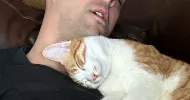 avatar petsitter