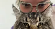avatar petsitter
