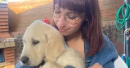 avatar petsitter