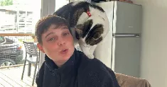 avatar petsitter