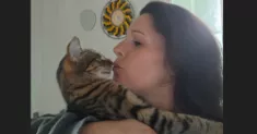 avatar petsitter