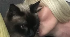 avatar petsitter