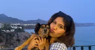 avatar petsitter