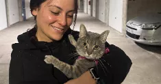avatar petsitter