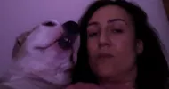 avatar petsitter