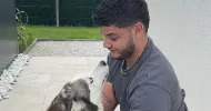 avatar petsitter