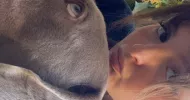 avatar petsitter