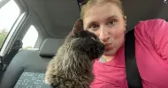 avatar petsitter