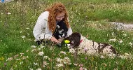 avatar petsitter