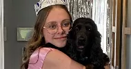 avatar petsitter