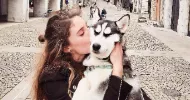 avatar petsitter