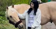 avatar petsitter