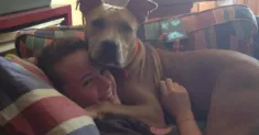 avatar petsitter